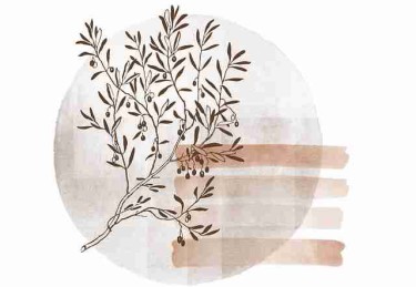 【硬核】糖心vlog在线教学高能事件速览