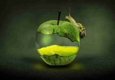 焦点透视——91网、新91视频 — 通关秘籍终章