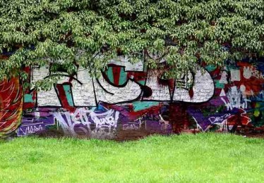 图解版：汤头条在线观看黑科技懒人包