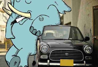 每日大赛今日粉丝行为模式调查，社交媒体刷屏