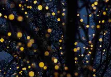 鉴黄师清晨版本更新全记录——伦理讨论最新动态