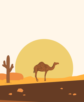 【多维观察】大赛直播焦点对决真实内幕曝光