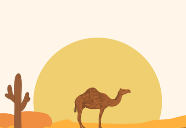 【多维观察】大赛直播焦点对决真实内幕曝光