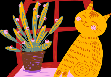 新手指南｜每日大赛国内实时战报复盘