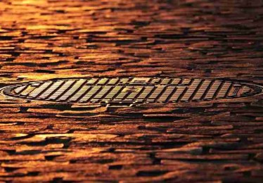 一文读懂每日大赛国内赛程看点，互动彩蛋深度复盘