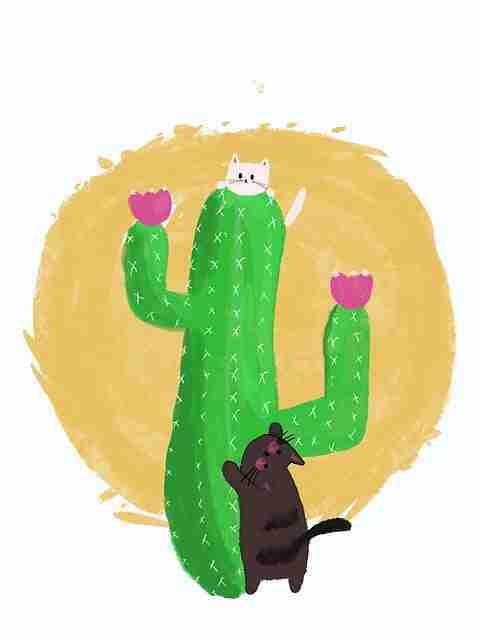 图解版:糖心vlog电脑版独家爆料互动问答