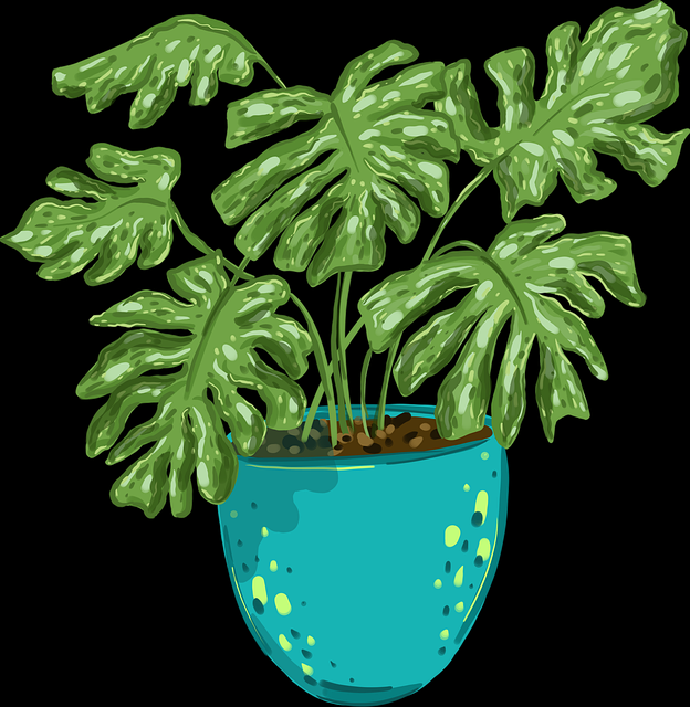 海角app排行榜TOP10,舆情观察全记录