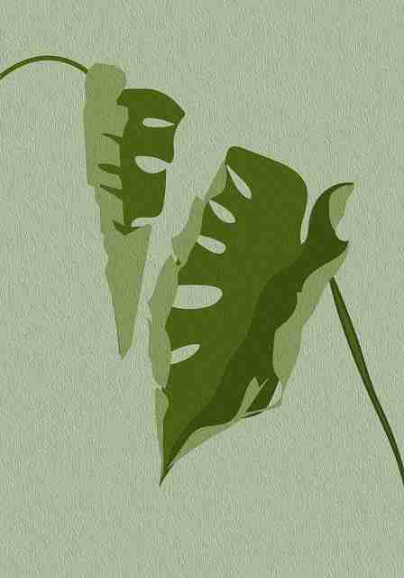 每日大赛国内如何掌握幕后故事?文化高清回放